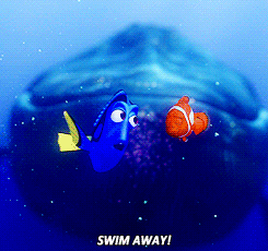 Finding Nemo