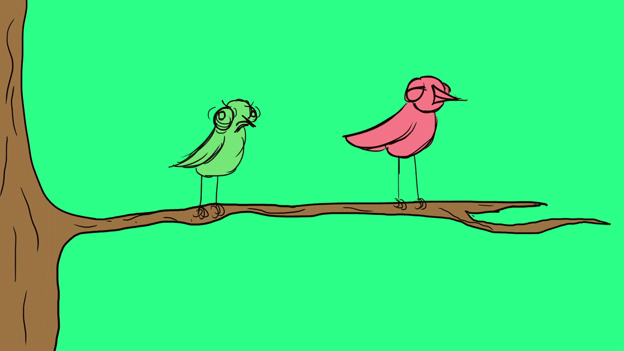 Картинка Как Твоя Диета Птички