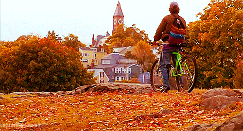 12u0.gif