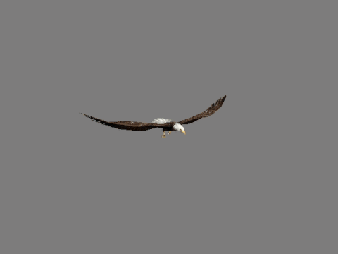 GIF air force eagle jet - animated GIF on GIFER - by Virn