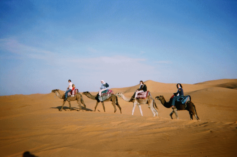 Караван движется. Верблюд в пустыне. Караван верблюдов в пустыне. Анимированная пустыня. Прогулка на верблюдах.