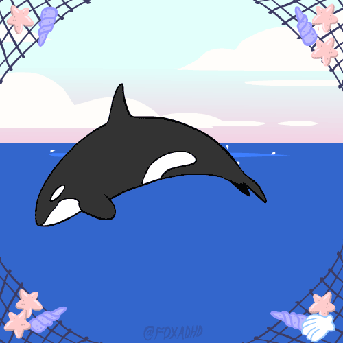 tumblr cartoon whales