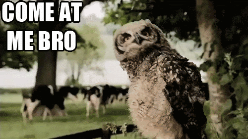 Reaction Funny Memes Gif On Gifer By Sajind