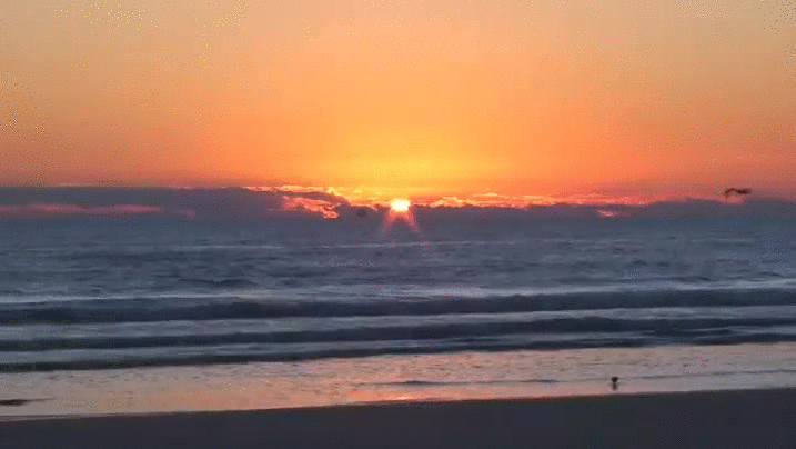 Sunrise beach ocean GIF on GIFER - by Dalkree