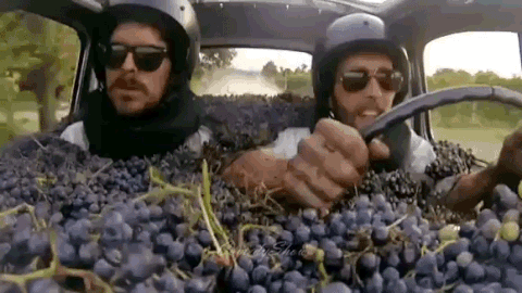 Image result for men in car full of grapes animated gif