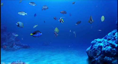 GIF art pixel sea - animated GIF on GIFER - by Lightsinger