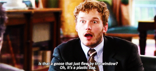 Funny lol parks and recreation GIF on GIFER - by Gat