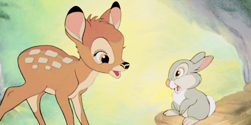 Image result for gif images of birds from disney's cartoon movies