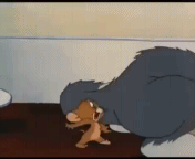1WZy.gif
