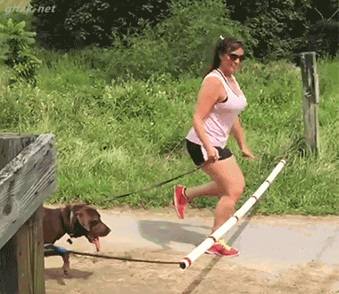 1Xq5.gif