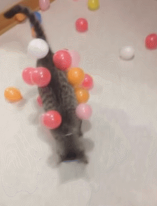 Thomas Geburtstag Anniversaire Gif On Gifer By Balladozar