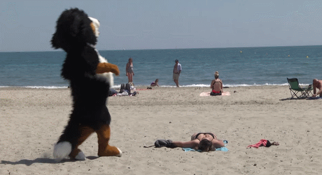 Gif свежие. Приколы на пляже. Прикольный гифы про море. Гифки пляж. Гифки про пляж прикольные.