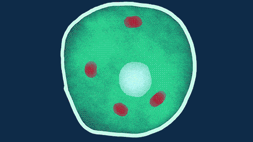 Cells biology health GIF on GIFER - by Tygralen