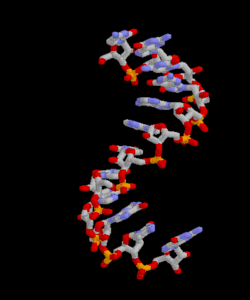 Biology GIF on GIFER - by Kigalkis