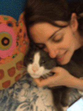 Cat Lady Gif 7 Cat Lady Gif 7