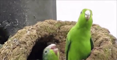 Mama Mother Madre Gif On Gifer By Sagal