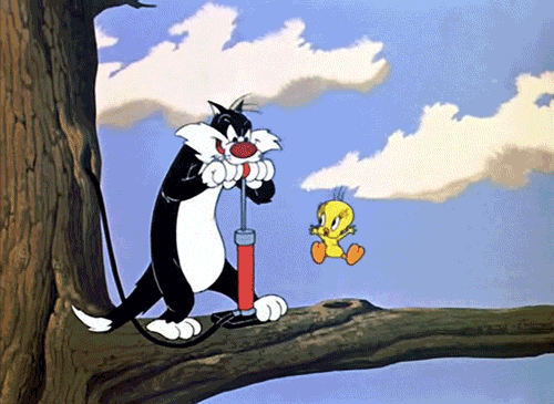 Sylvester and tweety GIFs - Get the best gif on GIFER