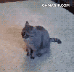 1kmn.gif