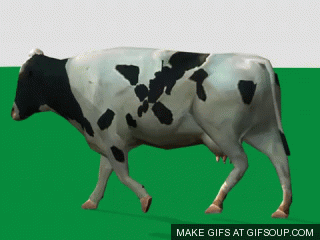 GIF cow vache - animated GIF on GIFER - by Arashikinos