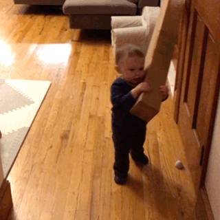 Carrying items GIFs - Get the best gif on GIFER