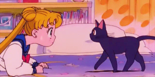 Bishoujo Senshi Sailor Moon Sm1 Bunny Tsukino Gif On Gifer By Arizius