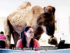 guess what day it is gif