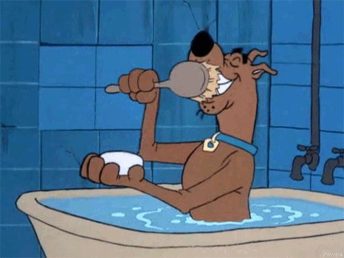 Image result for sad scooby doo gif