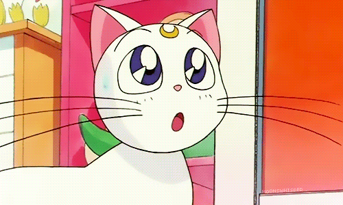Sailor Moon Artemis Anime Gif On Gifer By Darkhammer