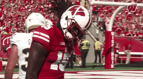 Rob Wheelwright Wisconsin badgers rob wheelwright wisconsin football GIF en GIFER - de ...