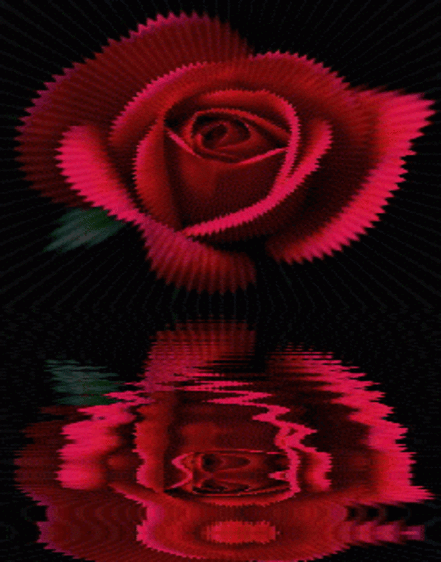 Rose GIF - Find on GIFER