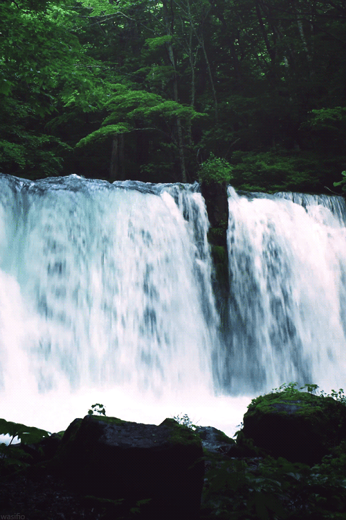 Двигающийся водопад. Живые водопады. Живая природа водопады. Живые водопады анимационные. Сказочный водопад.