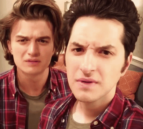 Bạn có thể phân biệt ai là Ben Schwartz và ai là Joe Keery không? - Nguồn Internet