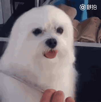 Bebe Blanco White Gif On Gifer By Gath Bebe Blanco White Gif On Gifer By Gath