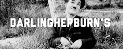 Гифка джон премия награда гиф картинка, скачать анимированный gif на ...