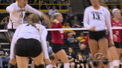 Animated GIF volleyball, hawkeyes, vb, share or download. iowa volleyball, ...