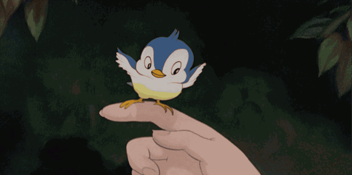 29qk.gif