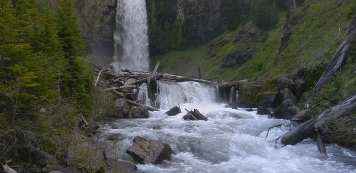 GIF agua mira naturaleza - GIF animado en GIFER - de Cegrinn
