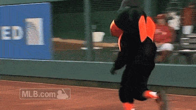 Oriole bird baltimore orioles sports GIF on GIFER - by Thordiwield