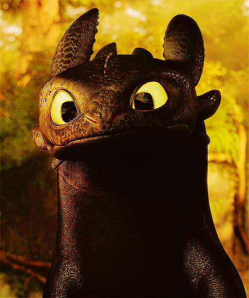 Dreamworks toothless how to train your dragon GIF on GIFER - by Sinmoon