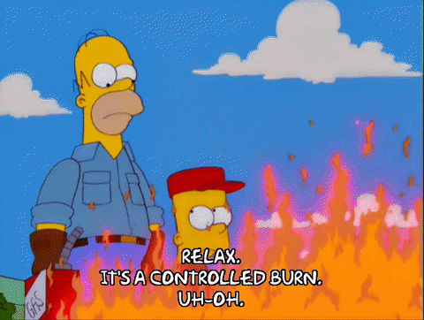 12x19 Out Of Control Bart Simpson Gif On Gifer By Arcaneseeker