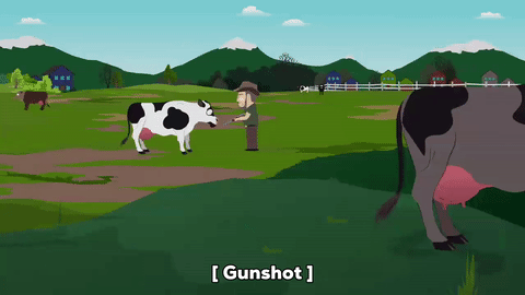 Field cow GIF on GIFER - by Anagas