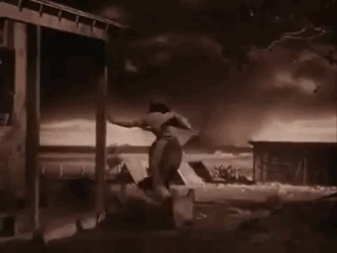 2MDV.gif