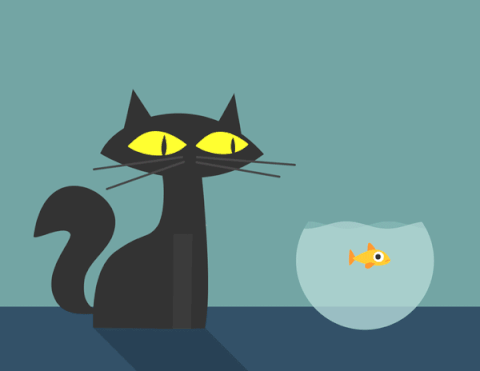 Гифка обед cat paw cat fishing гиф картинка, скачать анимированный gif на  GIFER от Truthscar