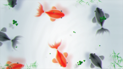 Рыбки плавают по экрану для кошек
