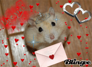 Image result for hamster love gif