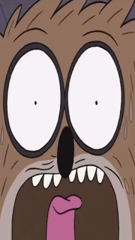 rigby computer gif
