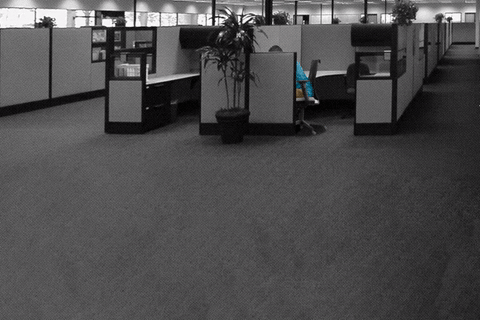 GIF race office pig - animated GIF on GIFER - by Akirg