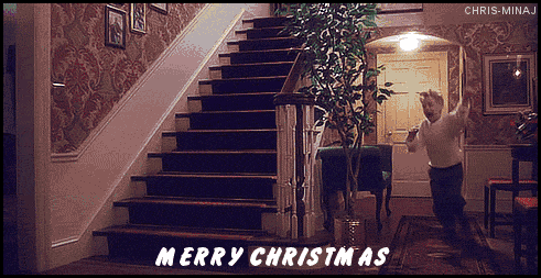 Cray Home Alone 2 Gif On Gifer By Laitus