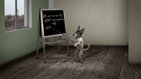 Equasions dog does math clever dog GIF on GIFER - by Coigrinn