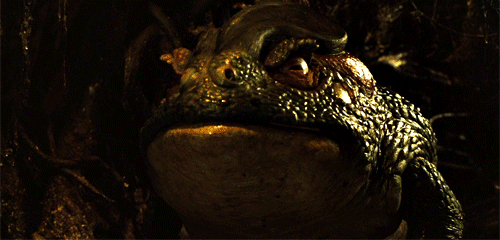 Maudit guillermo del toro some of the creatures GIF on GIFER - by ...